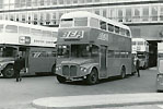 BEA 56 by Peter Newman (63k)