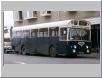 Grimsby Cleethorpes AEC Swift by John Law (46k)