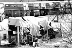 Unlicensed LT buses stored at AEC Southall, 74kb
